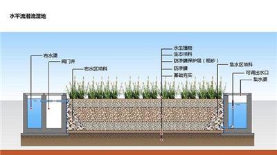湿地剖面图