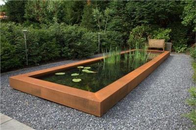 水生植物水槽