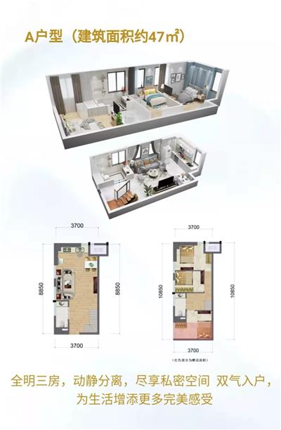 47平米   LOFT户型图