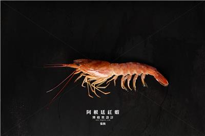 食材拍摄阿根廷红虾