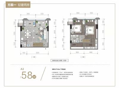 58平米  两室一厅两卫  LOFT户型图