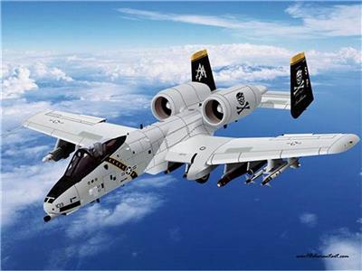 A-10攻击机（绰号：疣猪Warthog或猪Hog）