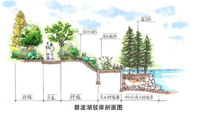 [合集]湿地剖面图