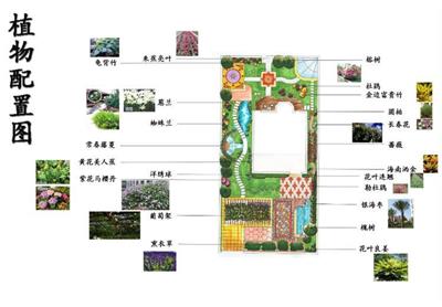私家别墅庭院植物配置