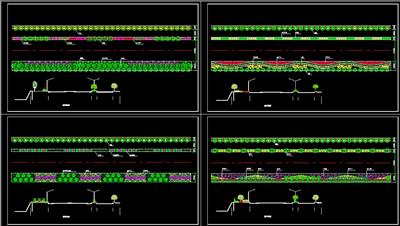 道路绿化、道路横断面、植物配置、dwg