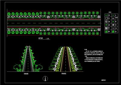 道路绿化、苗木表、植物配置、局部平面、局部透视、dwg