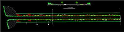 道路绿化、植物配置、绿化断面、dwg