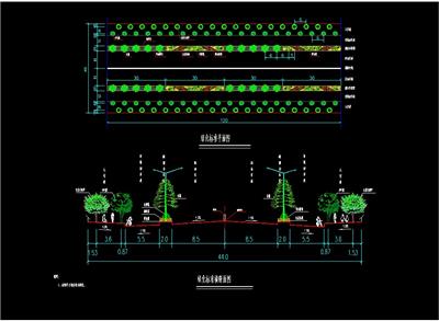 道路绿化标准平面、绿化标准横断面、dwg、植物配置