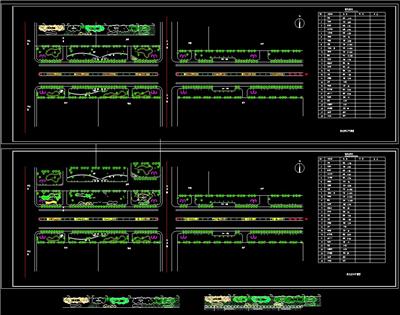 道路绿化平面、dwg、苗木表