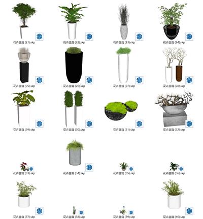 花卉盆栽su素材（2）