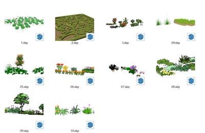 3D地被、灌木、花卉
