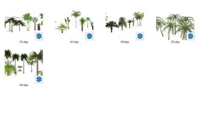 3D热带树类
