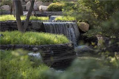 干货来袭，居住区景观设计植物配置方法