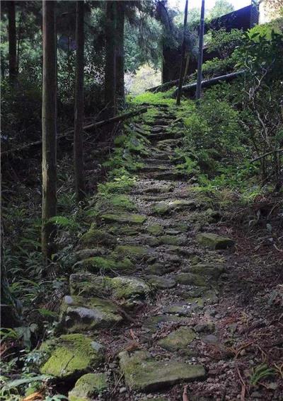 西岑坞古道