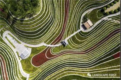 大地指纹 古彝梯田 Yi Terraces