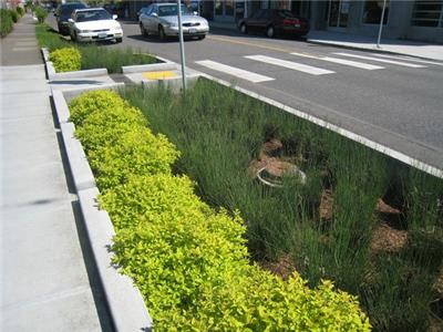 植草沟