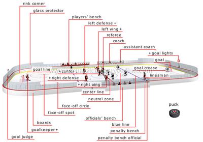 冰球场组成部分