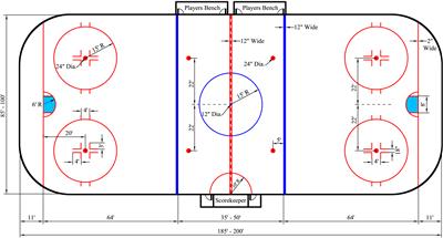 冰球场地尺寸