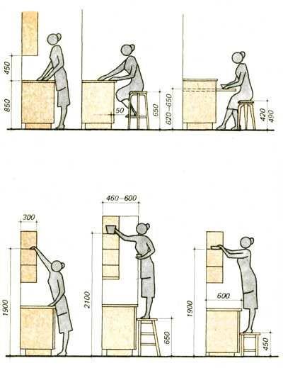 通用人体尺度