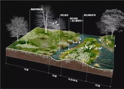 生态河道景观断面