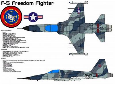 F-5战斗机（绰号：“虎” Tiger）