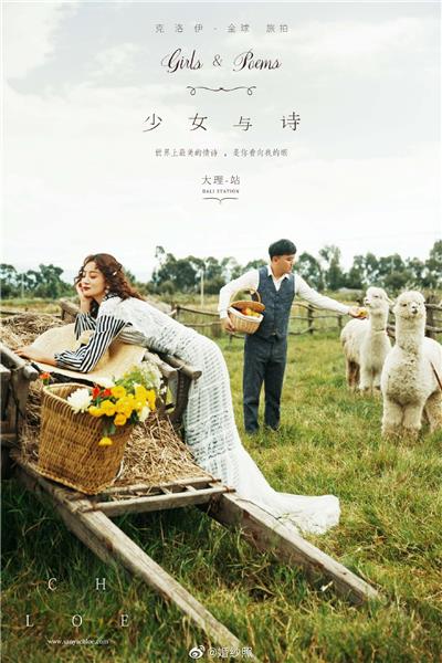 四川创意婚纱摄影照片_婚纱照图片