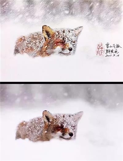 【彩铅教程】雪山飞狐