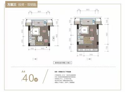 40平米  两室两厅两卫  LOFT户型图