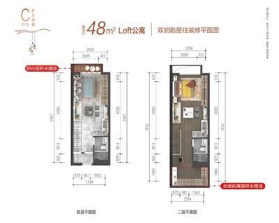 48平米 两室两厅两卫 LOFT户型图