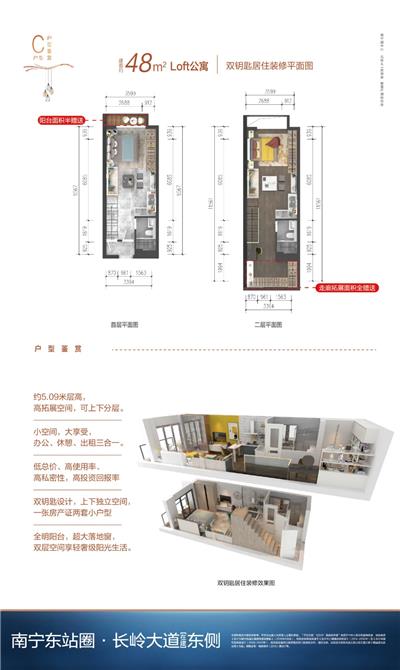 48平米  两室两厅两卫  LOFT户型图