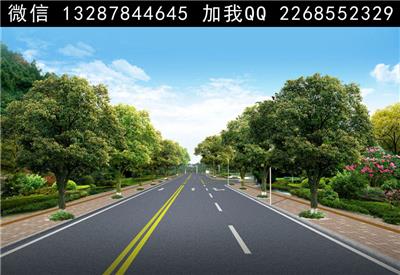 道路绿化景观设计案例效果图