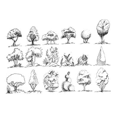 园林植物平面手绘图例